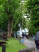 2007_vaurien_wsc002.jpg