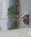 Ansegeln 2012