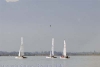 sumser_081646_582.jpg