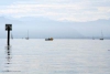 sumser_082800_2.jpg