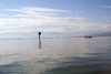 sumser_082812_4.jpg