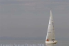 sumser_082830_583.jpg