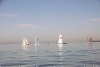 sumser2007_20070714_041350_190.jpg