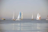sumser2007_20070714_043906_189.jpg