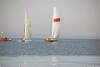 sumser2007_20070714_044134_186.jpg
