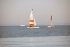 sumser2007_20070714_044136_185.jpg