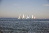 sumser2007_20070714_044548_182.jpg