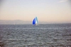 sumser2007_20070714_045516_177.jpg