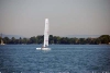 sumser2007_20070714_045630_176.jpg