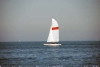 sumser2007_20070714_045720_173.jpg
