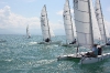 Katamaran Regatta 2011