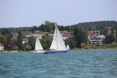 IMG_2601